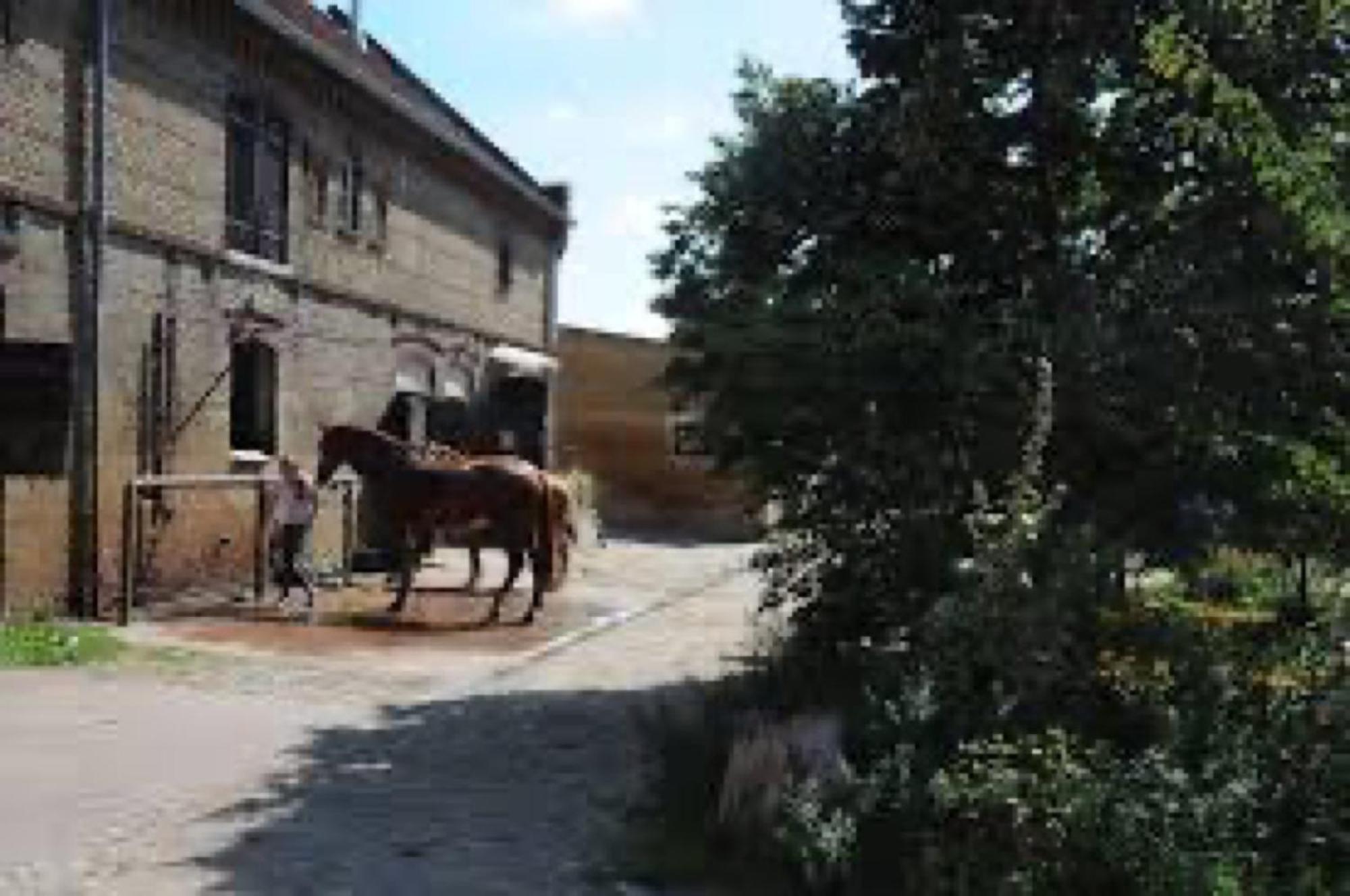 Ferienwohnungen Luisenhof Paretz Extérieur photo
